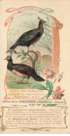 Delcampe - CHROMO #CL31005 CHOCOLAT D AIGUEBELLE LE MONDE DES OISEAUX 7X13,5 CM - Aiguebelle