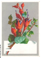 Delcampe - BR-BFP1-0221-CHROMOS - Ancien - 1890 - Fleurs - Autres & Non Classés