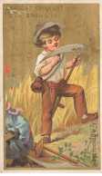 Delcampe - CHROMOS AO#AL00029 CHOCOLAT CHOQUART PARIS L AGRICULTURE FAUX FAUCHEUR - Autres & Non Classés