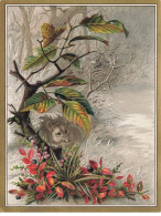 Delcampe - CHROMO #MK40939 VEGETATIONS ET UN RENARD - Autres & Non Classés