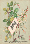 Delcampe - CHROMO #MK40627 ALPHABET FLEUR LETTRE K KINOS FAMILLE DES RUBIACEES DE NAUCLEA GAMBIR BOGNARD - Autres & Non Classés