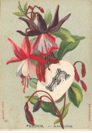 Delcampe - CHROMO #MK40622 ALPHABET LETTRE F FUSCHIA AMABILITE - Autres & Non Classés
