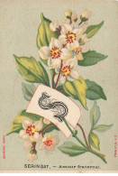 Delcampe - CHROMO #MK40634 ALPHABET FLEURS LETRE S SERINGAT AMOUR FRATERNEL - Autres & Non Classés