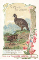 Delcampe - CHROMO #MK40649 OISEAUX GELINOTTE DES BOIS CAILLE CHOCOLATERIE D AIGUEBELLE - Aiguebelle