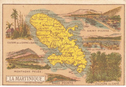 Delcampe - CHROMO #MK40671 ILE LA MARTINIQUE CHICOREE G BLACK PLAN BOGNARD - Autres & Non Classés