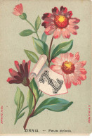 Delcampe - CHROMO #MK40640 ALPHABET FLEUR LETTRE Z ZINNIA FAUX ECLATS BOGNARD - Autres & Non Classés