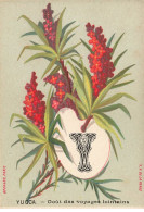 Delcampe - CHROMO #MK40639 ALPHABET FLEURS LETRE Y YUCCA GOUT DES VOYAGES LOINTAINS - Autres & Non Classés
