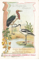 Delcampe - CHROMO #MK40653 OISEAUX LE MARABOUT A SAC LA RECURVIROSTRE AVOCETTE CHOCOLATERIE D AIGUEBELLE - Aiguebelle