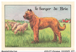 Delcampe - AYQP7-0857-CHROMOS - CAPVET-ROGNIAT - Le Berger De Brie - Autres & Non Classés