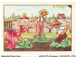 Delcampe - AYQP7-0803-CHROMOS - CAPVET-ROGNIAT - Savez-Vous Planter Les Choux - Autres & Non Classés