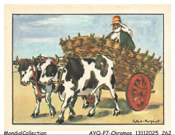 Delcampe - AYQP7-0799-CHROMOS - CAPVET-ROGNIAT - CHARIOT CIRCASSIEN - Autres & Non Classés