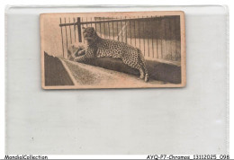 Delcampe - AYQP7-0718-CHROMOS - LEOPARD - Autres & Non Classés