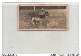 Delcampe - AYQP7-0714-CHROMOS - FALLOW DEER - Autres & Non Classés