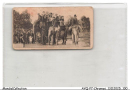 Delcampe - AYQP7-0719-CHROMOS - INDIAN ELEPHANT - Autres & Non Classés