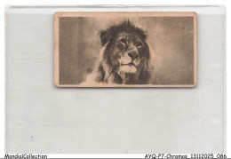 Delcampe - AYQP7-0712-CHROMOS - LION - Autres & Non Classés