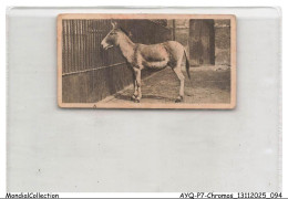 Delcampe - AYQP7-0716-CHROMOS - KIANG - Autres & Non Classés