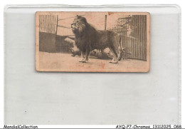 Delcampe - AYQP7-0713-CHROMOS - LION - Autres & Non Classés