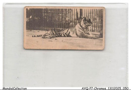 Delcampe - AYQP7-0694-CHROMOS - MALAYAN TIGER - Autres & Non Classés