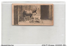 Delcampe - AYQP7-0696-CHROMOS - BLESBOK AND YOUNG - Autres & Non Classés