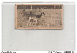 Delcampe - AYQP7-0686-CHROMOS - FALLOW DEER - Autres & Non Classés