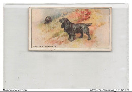 Delcampe - AYQP7-0669-CHROMOS - COCKER SPANIELS - Autres & Non Classés