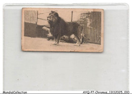 Delcampe - AYQP7-0674-CHROMOS - LION - Autres & Non Classés