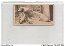 Delcampe - AYQP7-0688-CHROMOS - POLAR BEAR - Autres & Non Classés