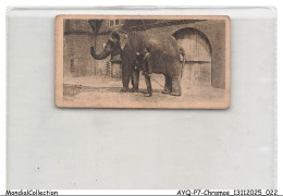 Delcampe - AYQP7-0680-CHROMOS - INDIAN ELEPHAN - Autres & Non Classés