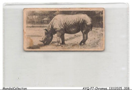 Delcampe - AYQP7-0673-CHROMOS - AFRICAN RHINOCEROS - Rhinoceros Bicornts - Autres & Non Classés