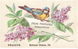Delcampe - MIKIH-CHROMO- 0034 PRAGUE TCHEQUIE  FRANZ PROCHASKA PARFUMEUR DE LA COUR PARFUMERIE OISEAU  BOUQUET DE VIOLETTES - Autres & Non Classés