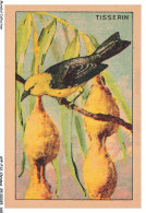 Delcampe - AYPP12-0893-CHROMOS - Les Oiseaux Et Leurs Nids - Le Tisserin Loriot - Autres & Non Classés