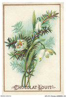 Delcampe - AXYP17-1322-CHROMOS - Chocolat Louit - Fleurs - Le Perce-neige - Louit