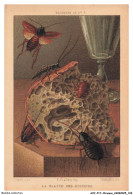 Delcampe - AXYP17-1349-CHROMOS - La Blatte Des Cuisines - Autres & Non Classés