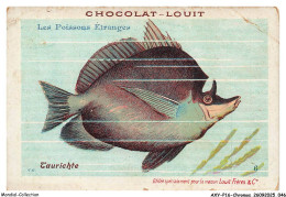 Delcampe - AXYP16-1176-CHROMOS - Chocolat Louit - Les Poissons étranges - Taurichte - Louit