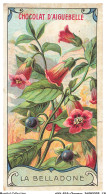 Delcampe - AXYP19-1517-CHROMOS - Choclat D'aiguebelle - Les Plantes Dangereuses - La Belladone - Aiguebelle