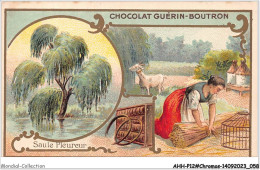 Delcampe - AHHP12-2231 - CHROMOS - CHOCOLAT-GUERIN-BOUTRON - PARIS - Saule Pleureur - 10,5 X 7cm - Guérin-Boutron
