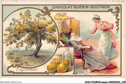 Delcampe - AHHP12-2261 - CHROMOS - CHOCOLAT-GUERIN-BOUTRON - PARIS - Cognassier - 10,5 X 7cm - Guérin-Boutron