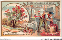 Delcampe - AHHP12-2248 - CHROMOS - CHOCOLAT-GUERIN-BOUTRON - PARIS - Epine Vinette - 10,5 X 7cm - Guérin-Boutron