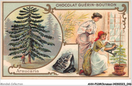 Delcampe - AHHP12-2225 - CHROMOS - CHOCOLAT-GUERIN-BOUTRON - PARIS - Araucaria - 10,5 X 7cm - Guérin-Boutron