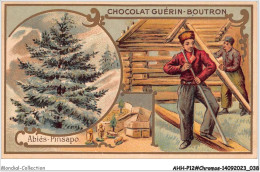 Delcampe - AHHP12-2221 - CHROMOS - CHOCOLAT-GUERIN-BOUTRON - PARIS - Abies-pinsapo - 10,5 X 7cm - Guérin-Boutron