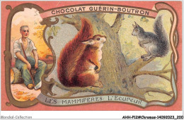 Delcampe - AHHP12-2302 - CHROMOS - CHOCOLAT-GUERIN-BOUTRON - PARIS - Les Mammiferes - L'ecureuil  - 10,5 X 7cm - Guérin-Boutron