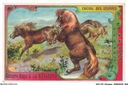 Delcampe - AXYP2-0078-CHROMOS - Chicorée A La Ménagère - Cheval Des Steppes - Duroyon & Ramette - Cambrai - Duroyon & Ramette