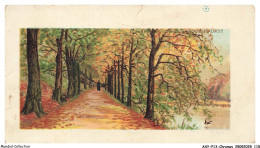 Delcampe - AXYP13-0924-CHROMOS - Chocolat-louit - Paysage - Louit