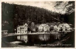 Delcampe - Dresden-Pillnitz - Eingang In Den Friedrichsgrund - Pillnitz