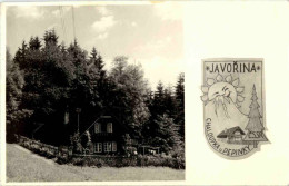 Delcampe - Javorina - Slowakei