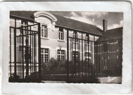 Delcampe - CPSM :  14 X 9  -  LUCON  -  Collège  Moderne  De  Jeunes  Filles - Lucon