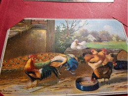 Delcampe - Poules,coq,paon,mangeoire,. - Vogels