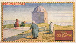 Delcampe - MIKINP4-081 CHROMOS VELMA SUCHARD CHOCOLAT MAROC - Suchard