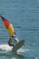 Delcampe - Italia Scena DI Windsurf Con Atleta Su Tavola In Acqua Aperta Vista #SCG238 - Zeilen