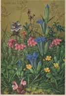Delcampe - Nederland Sneek Wilde Bloemen Illustratie Bloemrijk Veld Voor Het Kind #SCG215 - Blumen